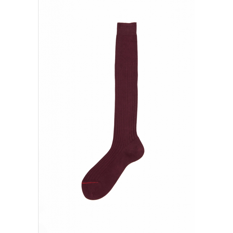 Long socks in filoscozia a costa N.2